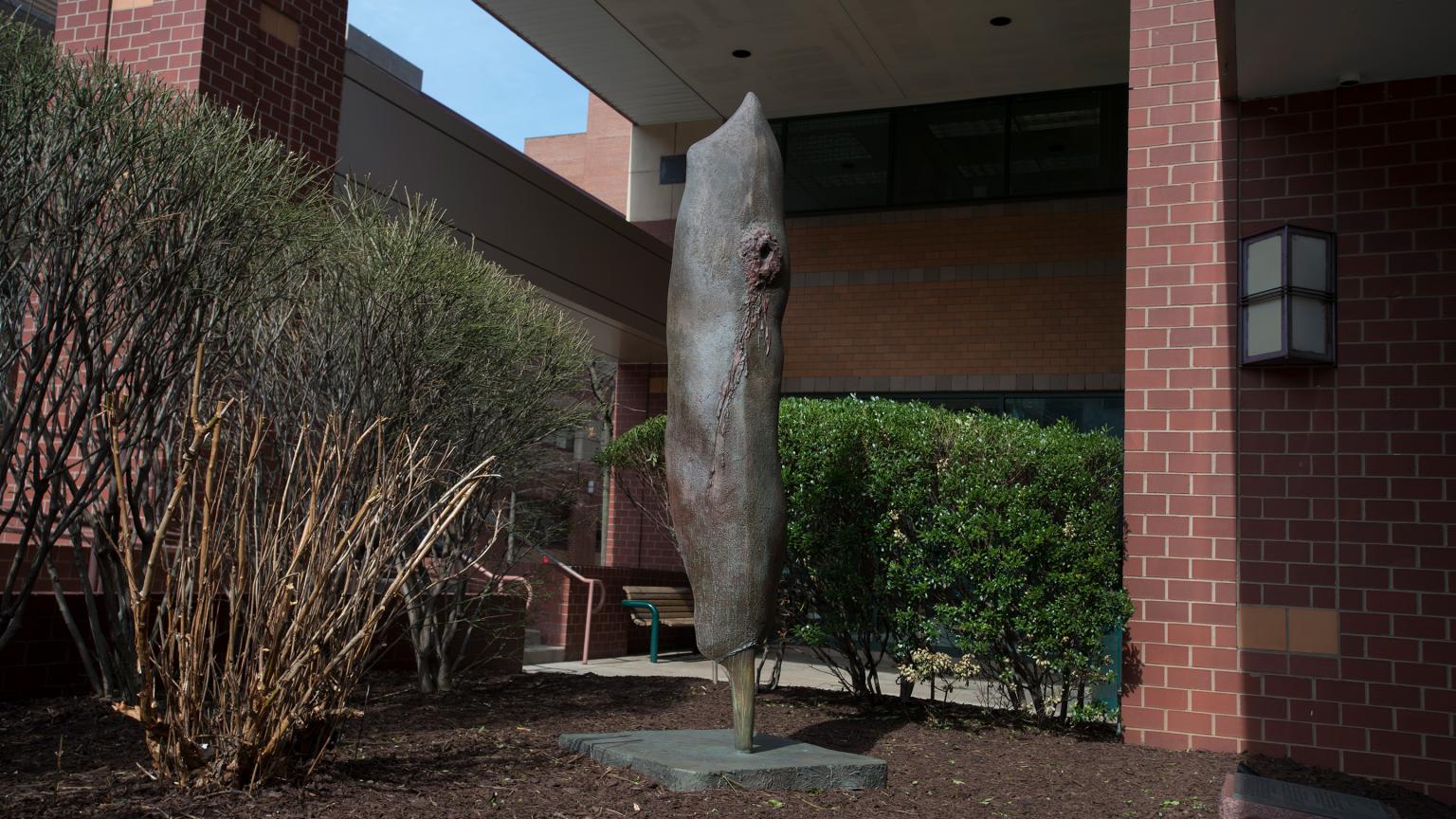 Prayer Feather (2002) sculpture by Edward M. Adams, installed outside the Clinical Academic Building