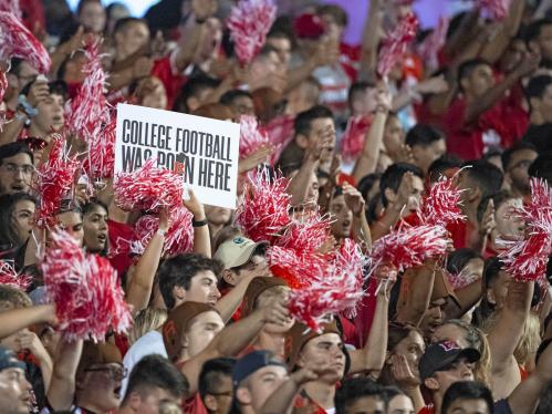 football crowd